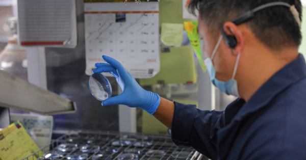 IcareLabs State of the Art Anti Reflective Coating Lab Processing Crizal, Kodak, ICE AR, and more in house